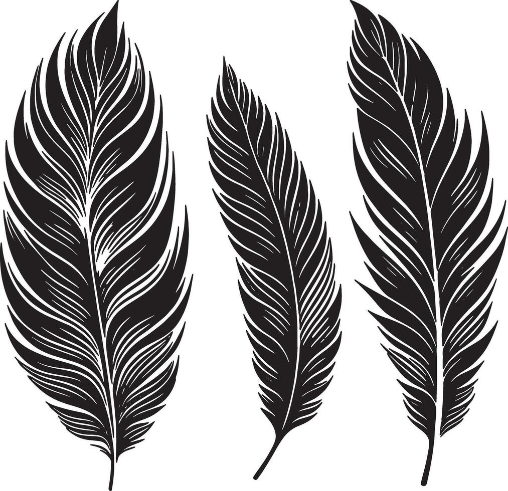 Elegant Feather Shaped Leaves in Artistic Silhouette vector