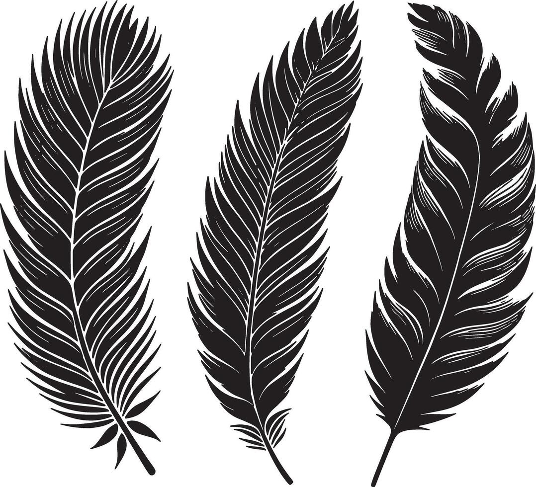 Feather Shaped Leaves Silhouette Illustration with Organic Design vector