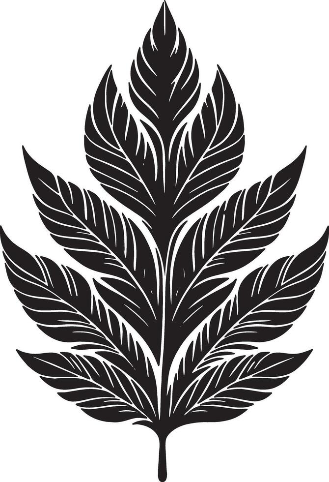 Abstract Feather Shaped Leaves Botanical Silhouette vector