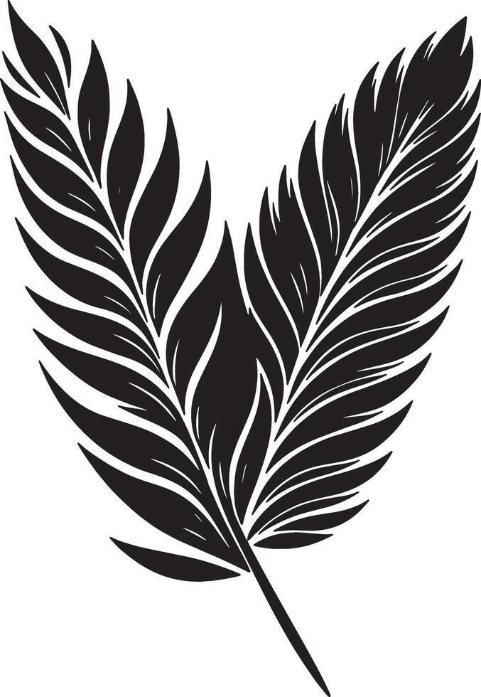 Feather Shaped Leaves Silhouette on White Background vector