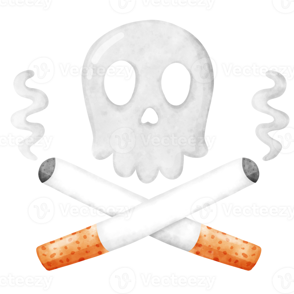Cigarette with Ash and Smoke png