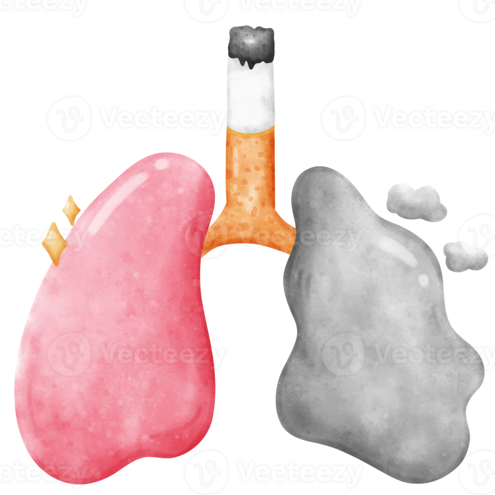 cancer lung and healthy lung with cigarette png
