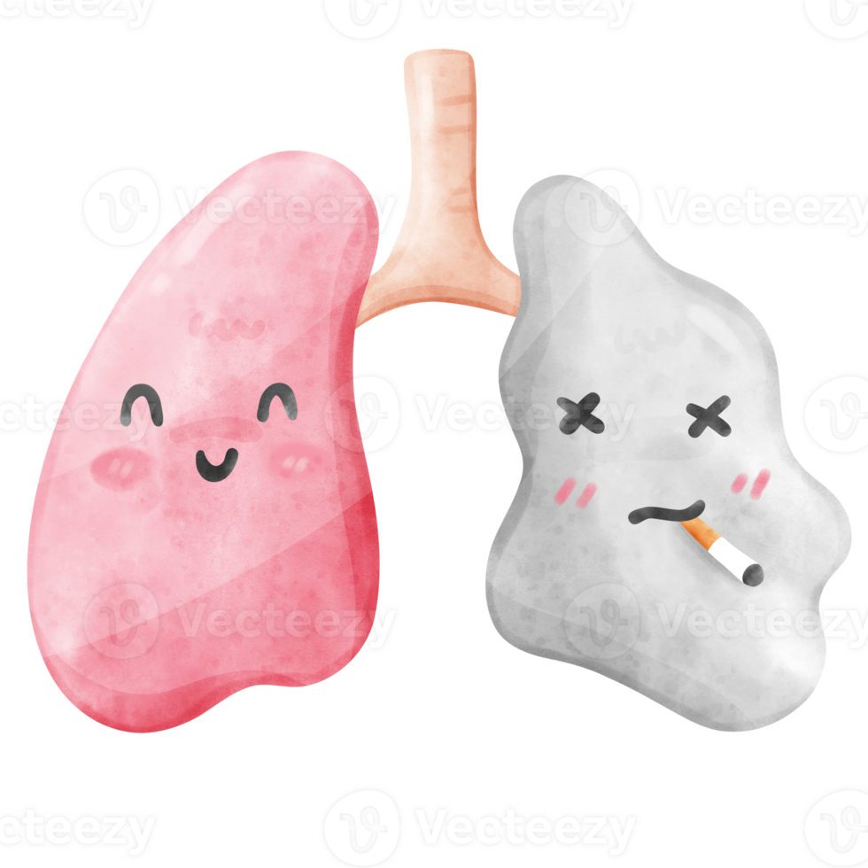 Healthy lung and smoke lung png