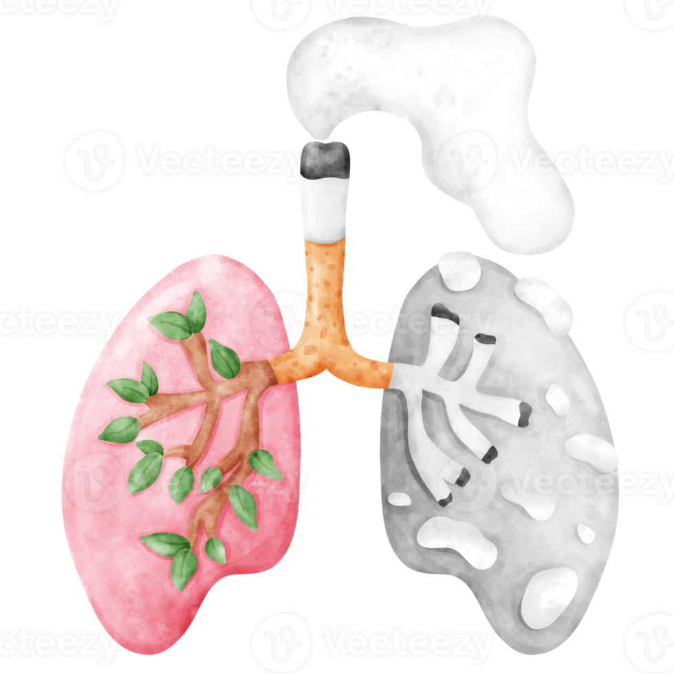 No Smoking Day Awareness with lungs png