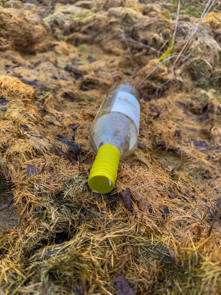 Empty bottle with yellow cap lying on dry grass in a natural outdoor setting. High quality photo