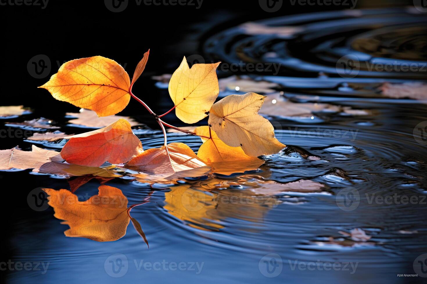 a branch with yellow leaves floating on water. photo