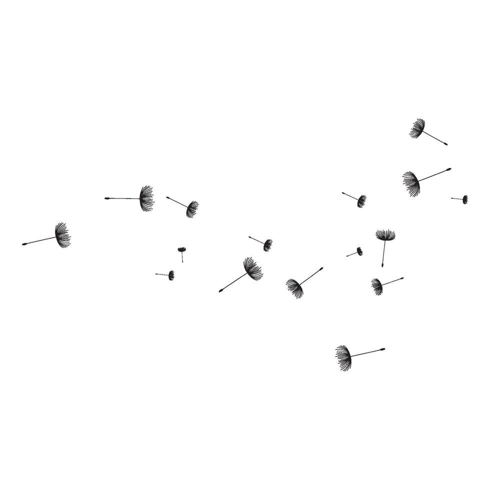 Dandelion flower icon template vector