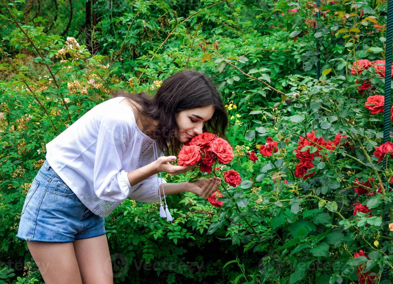Young Russian brunette woman in a white blouse and denim shorts smelling red roses in a lush green garden on a summer day photo