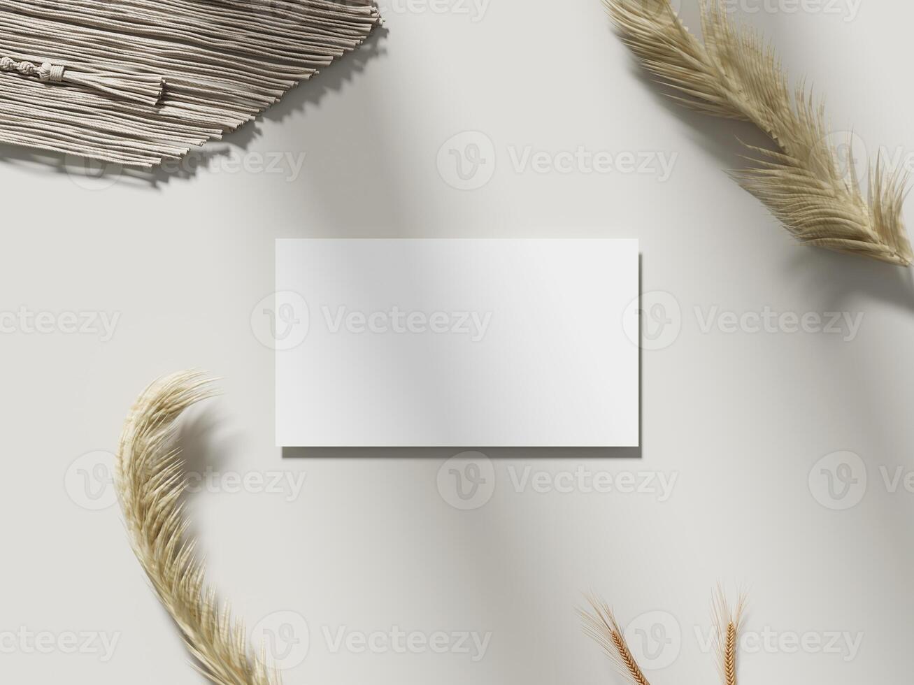 Modern Aesthetic Business Card Presentation photo