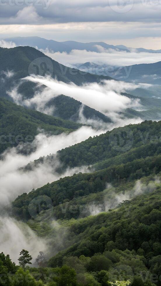 mountain landscape with fog photo