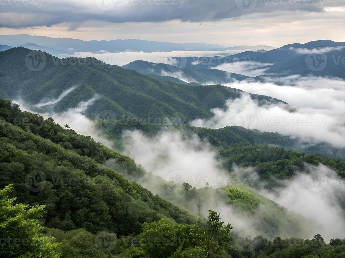the great smoky mountains photo