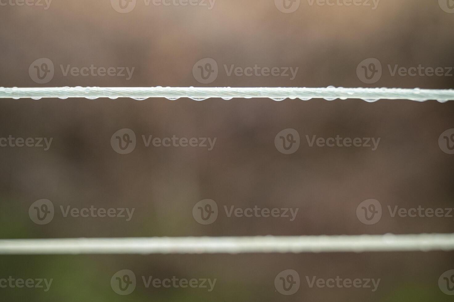 water drops on a rope. close-up one line in focus, the second is blurred. raindrops on a line, only two lines in the photo
