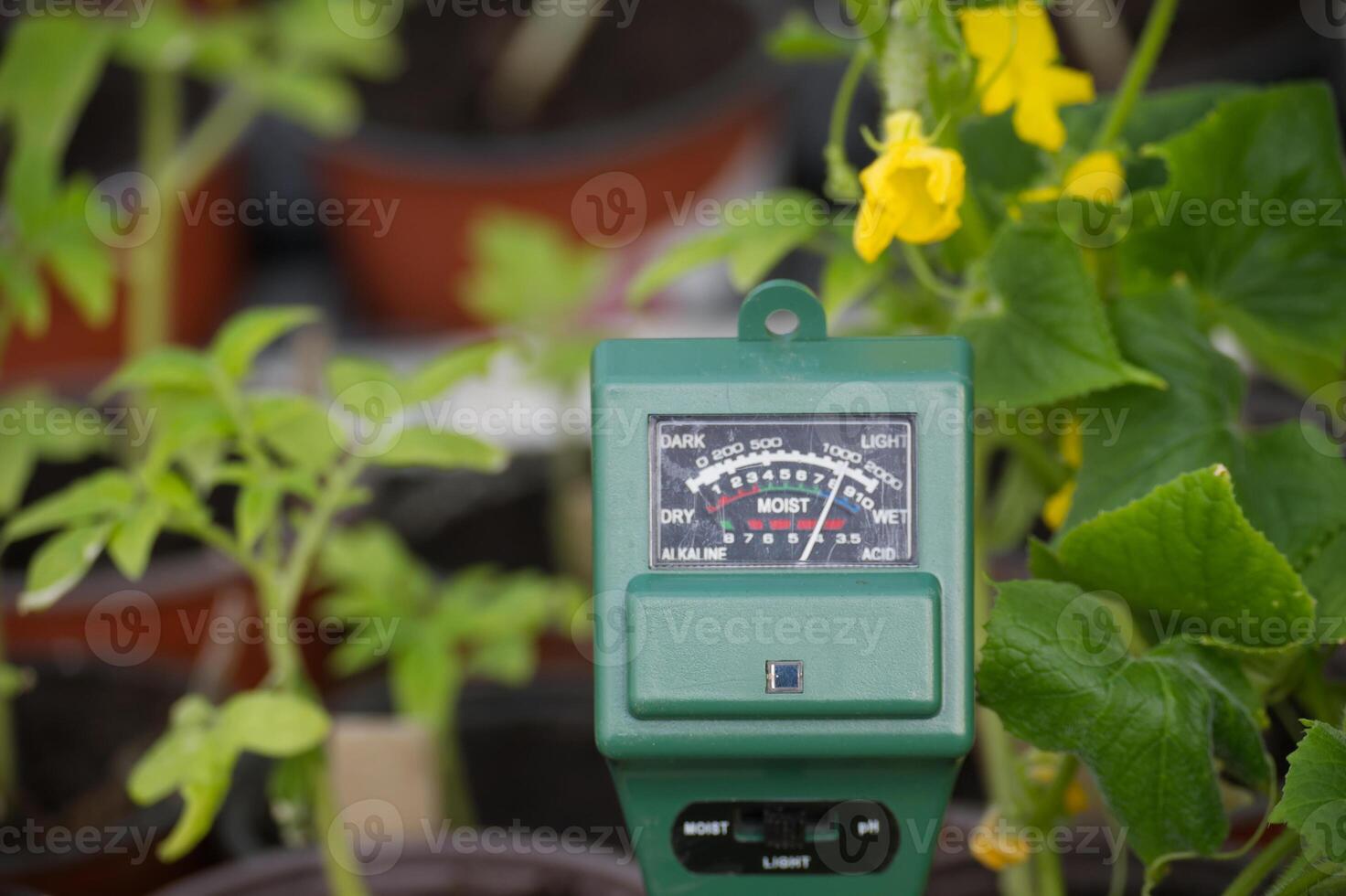 Green Soil Meter in Garden with Plants and Yellow Flowers photo