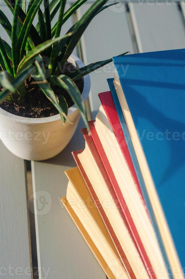Stack of colorful books and a potted plant on a wooden table in sunlight. High quality photo
