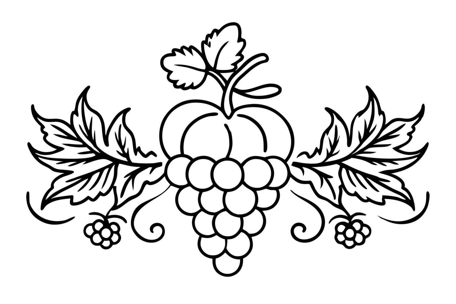 illustration of grapes and leaves in black and white. vector