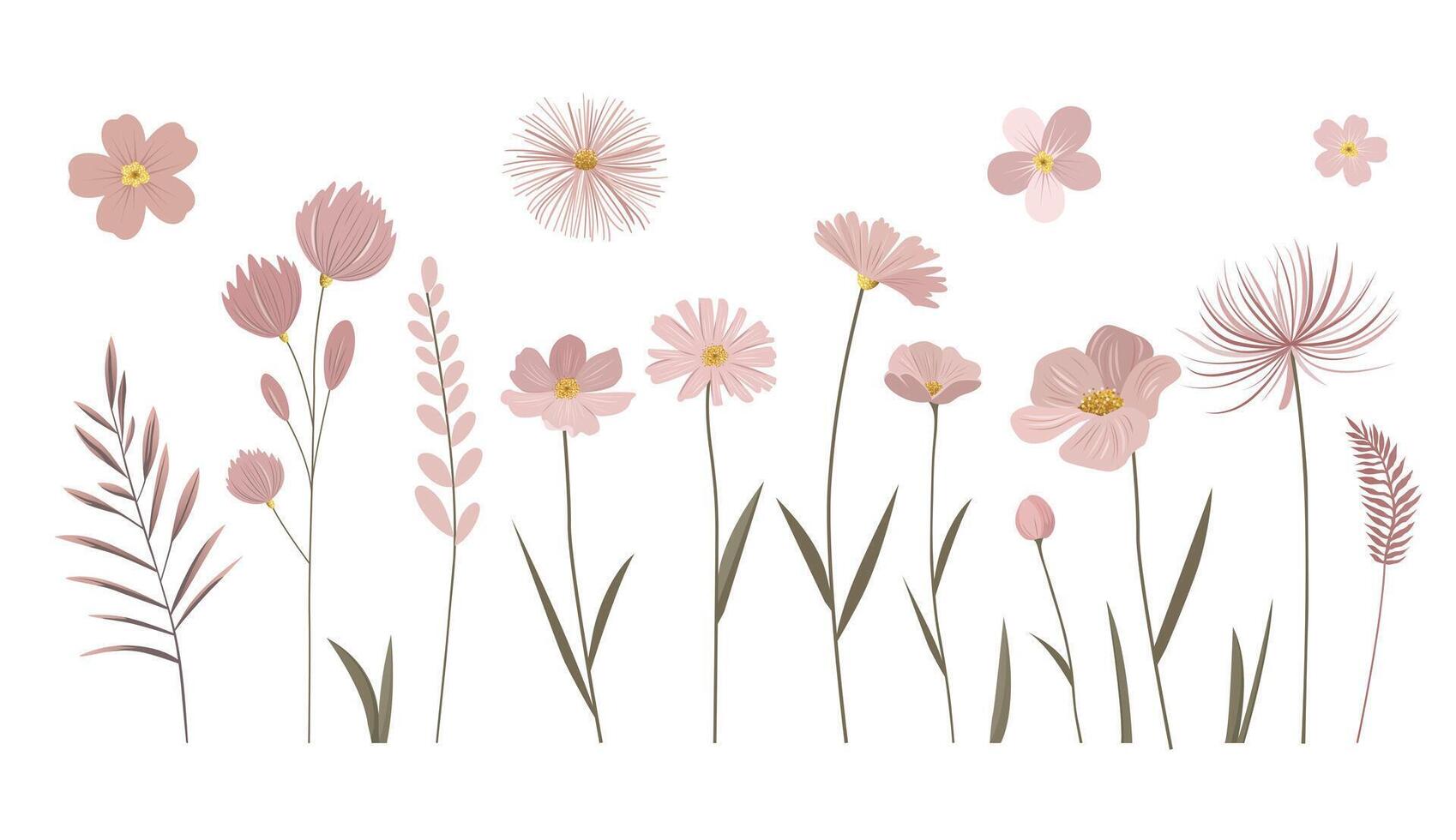 Gentle pink flowers with golden centers. Meadow botanical set for greeting cards. Pastel colored delicate wild flowers. vector