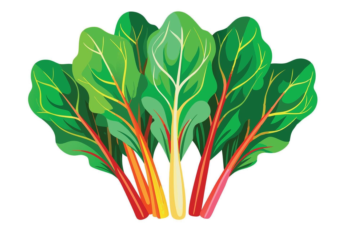 A illustration of fresh Swiss chard leaves vector