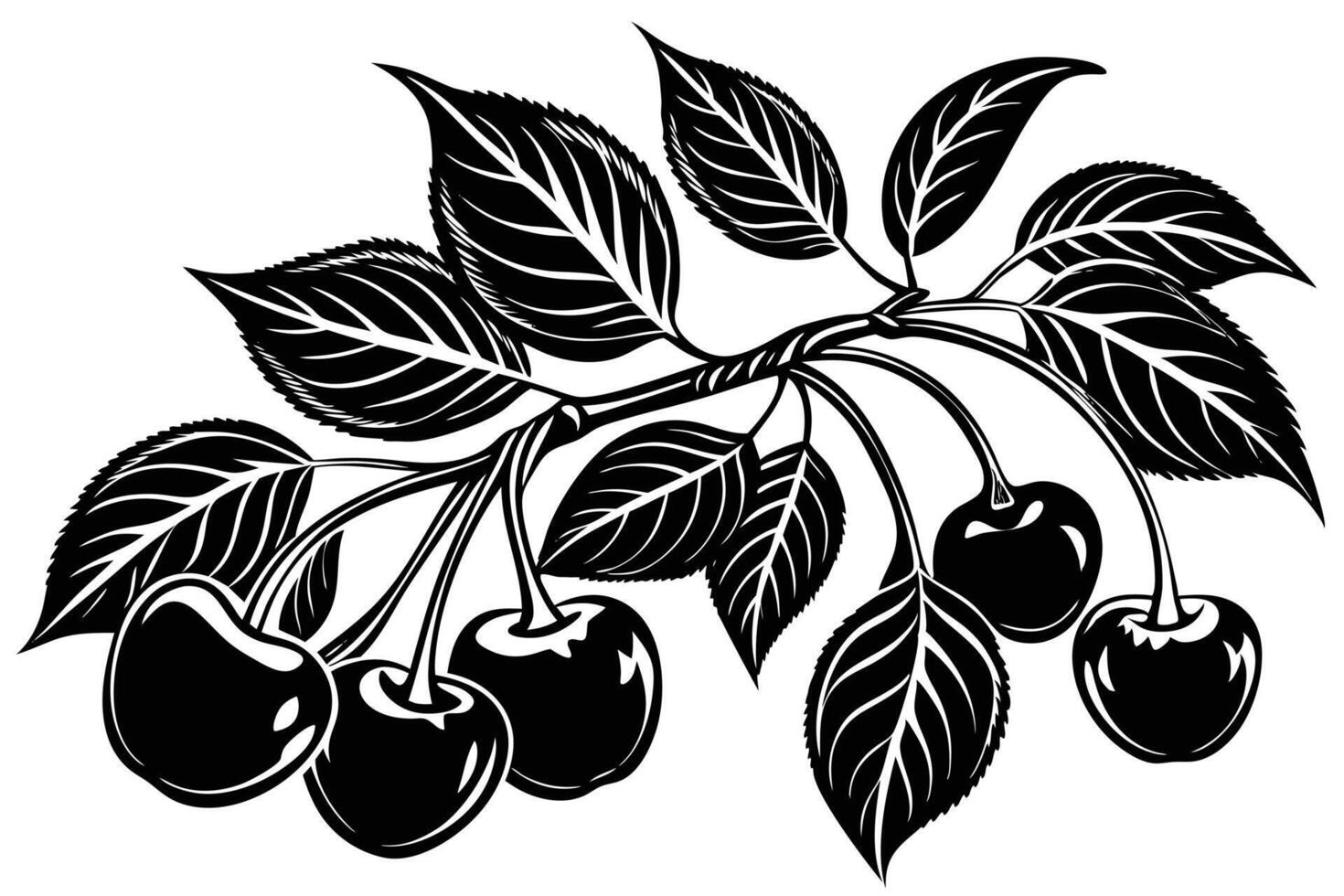 Vintage Style Black and White Cherry Branch Illustration vector