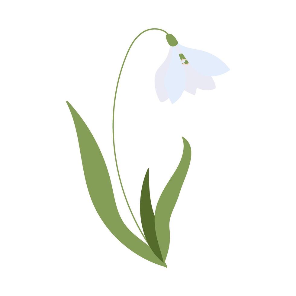 A flower with a green stem and a white petal. The flower is in the middle of the image vector