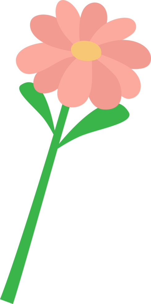 A single pink blossom, isolated on a white background, reveals its delicate petals png