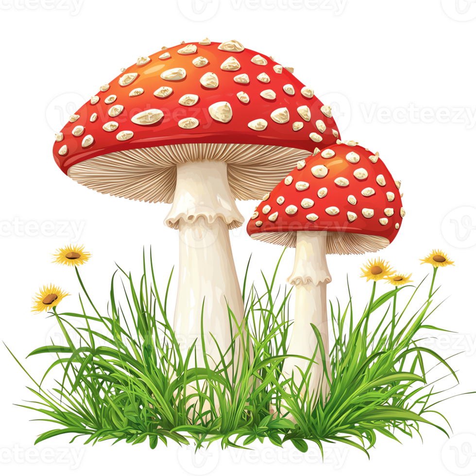 Colorful red mushrooms surrounded by vibrant green grass and flowers. png