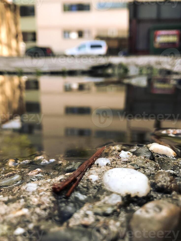 A stick is floating in a puddle of water photo