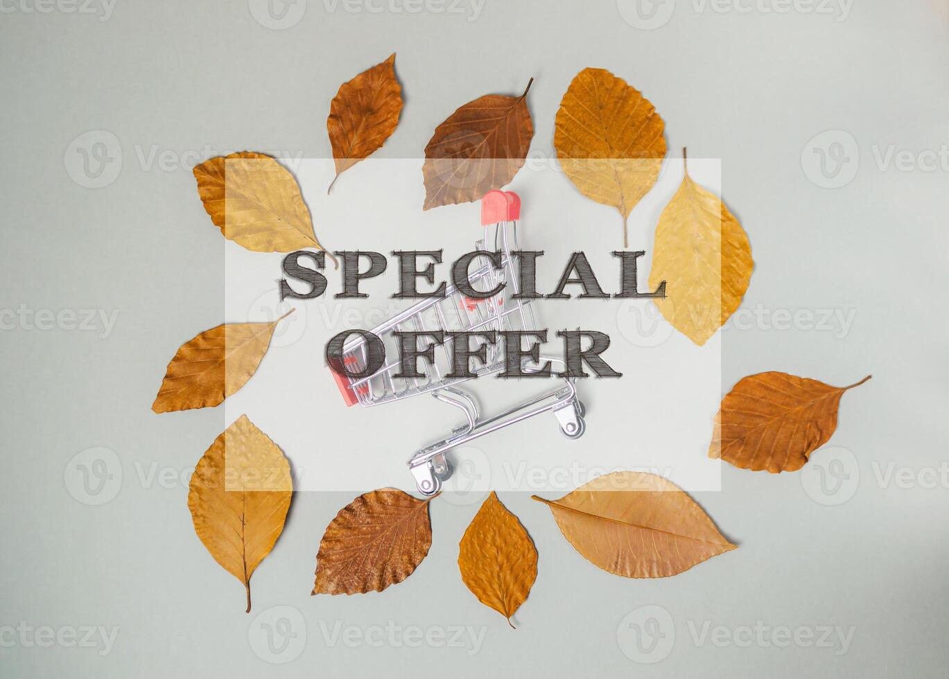 A cart with a sign that says Special Offer photo