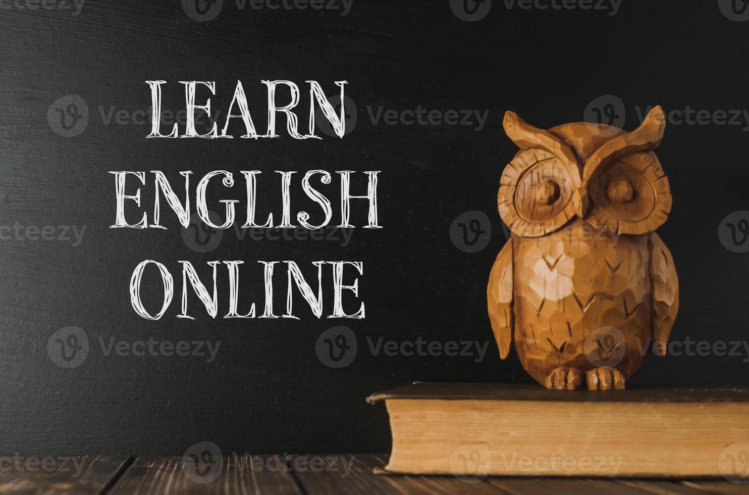 The owl is a symbol of wisdom and knowledge photo