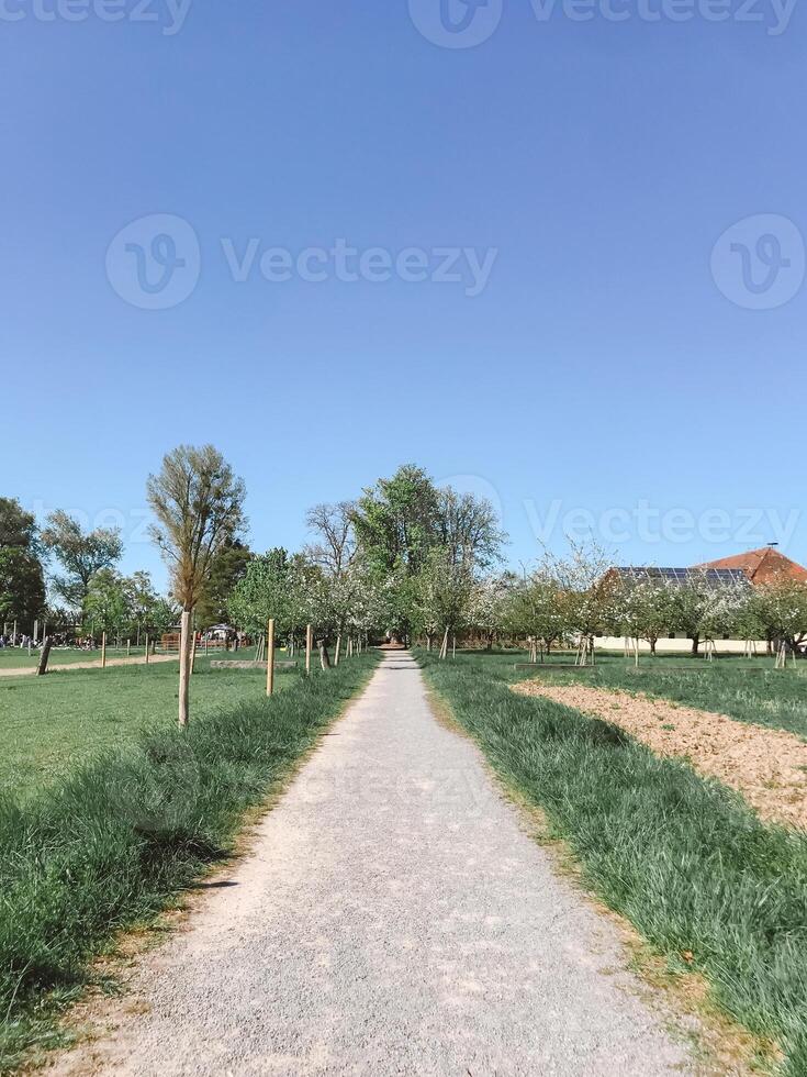 A path in a park with trees and a building in the background photo