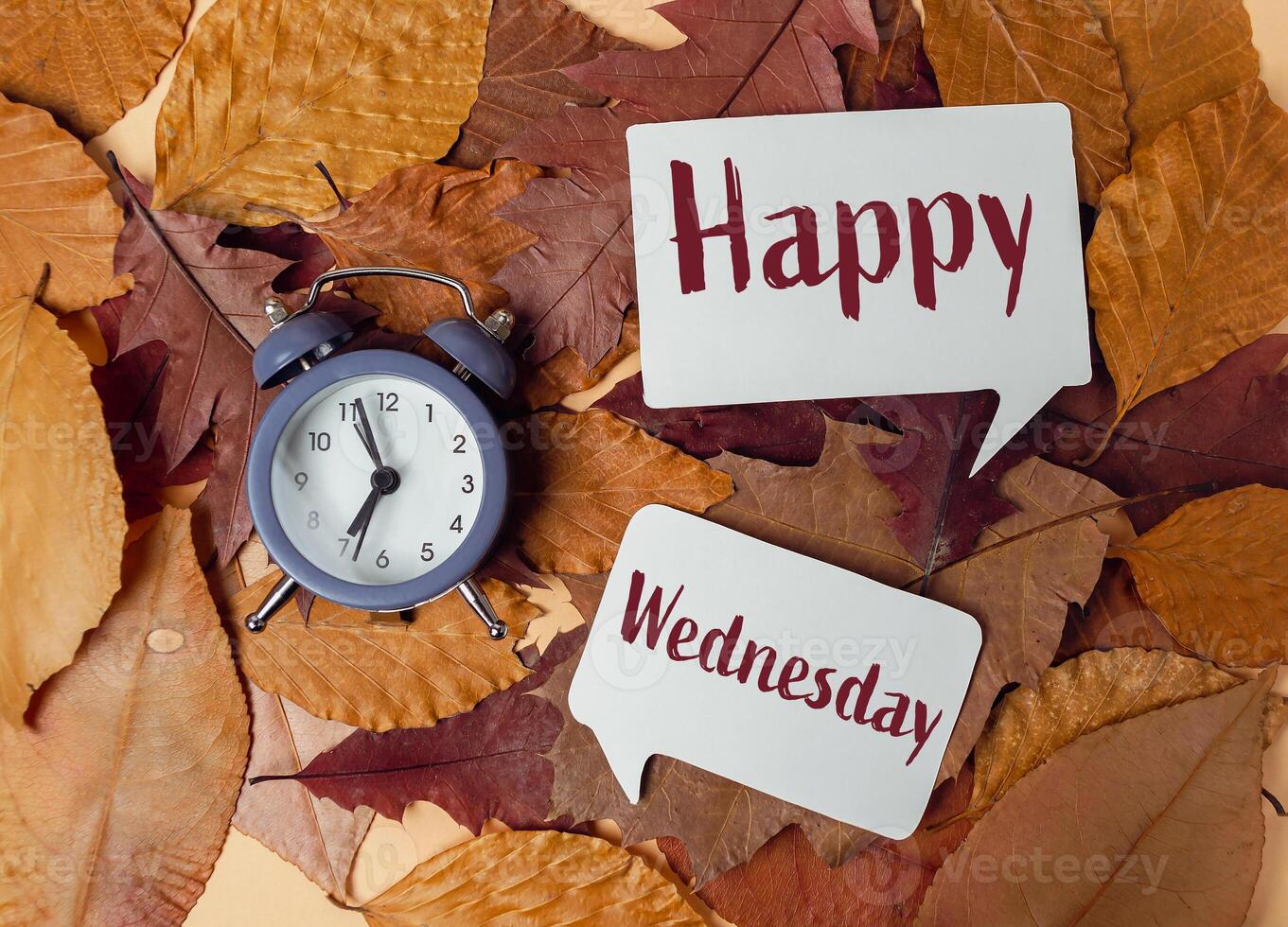Clock is on a pile of leaves with the words Happy Wednesday written above it photo