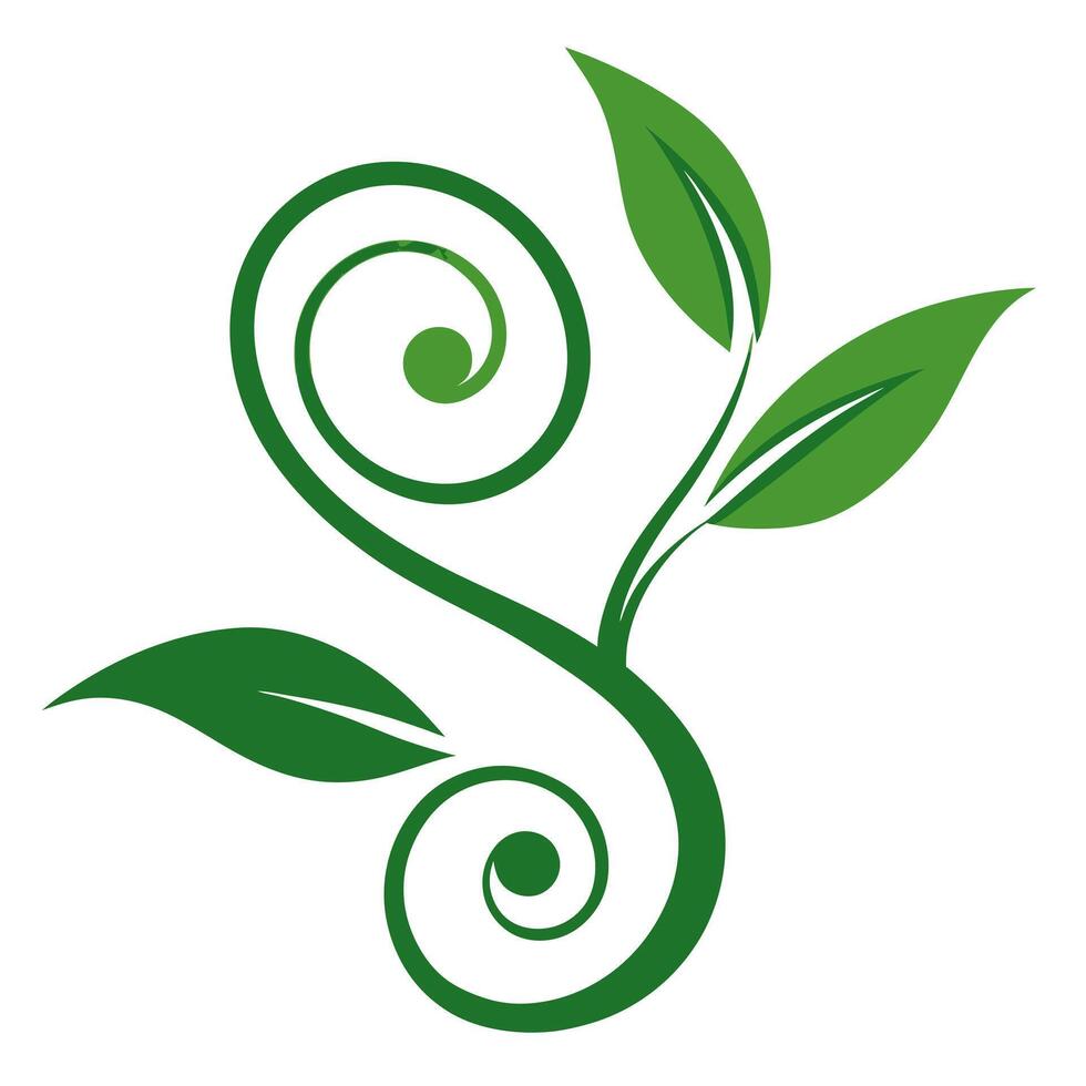 Delicate Curved Vines and Soft Floral Motif Artwork Nature Themed Designs vector