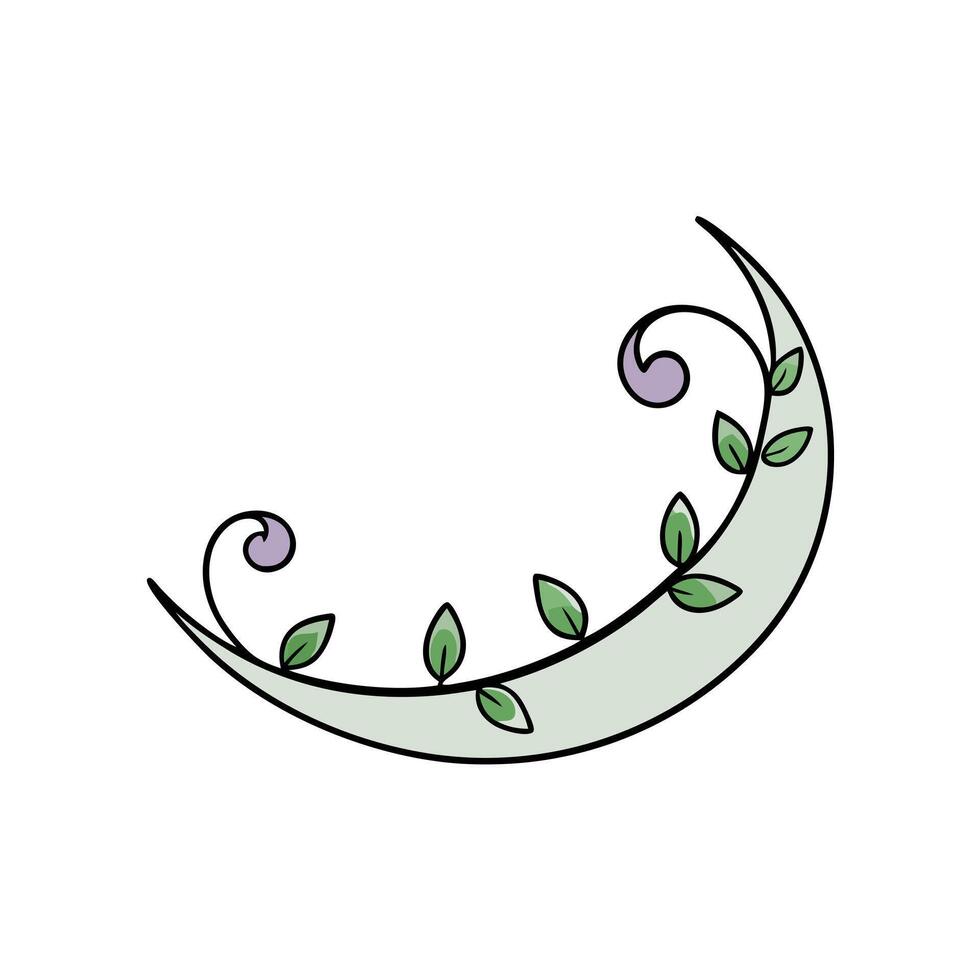 Elegant Moon Decorative Design with Floral Element vector