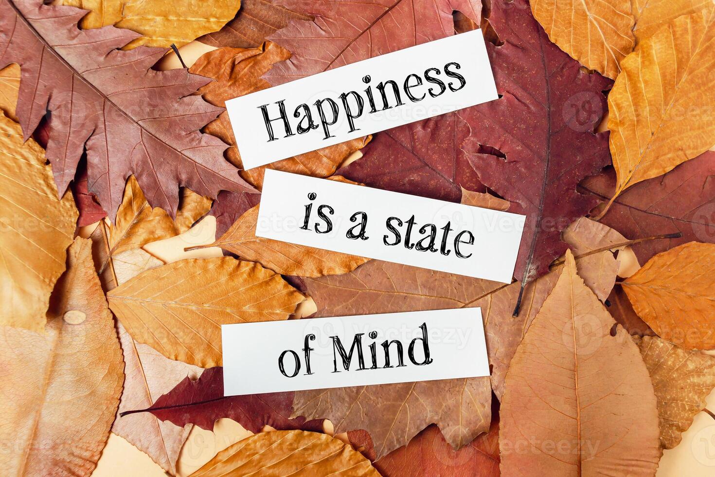 Pile of leaves with a white paper that says happiness is a state of mind photo