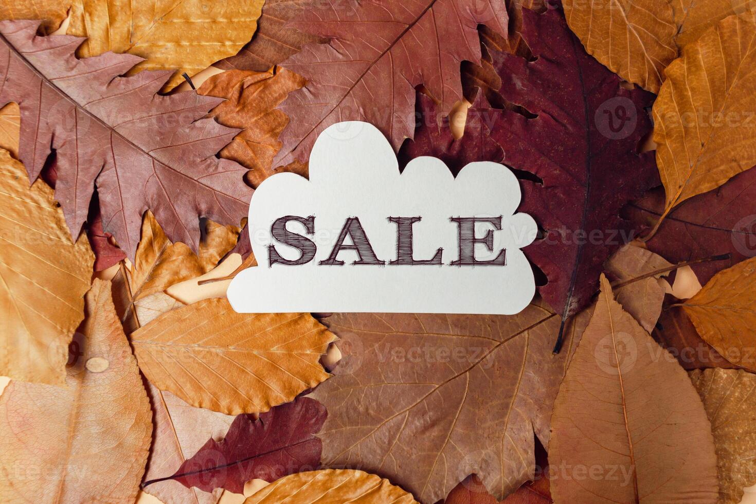 White sign with the word Sale written on it is placed on top of a pile of autu photo