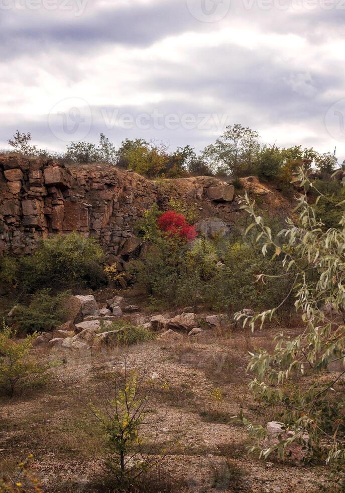 fantastic autumn in a mountain canyon, huge rocks. big gray granite boulders. yellow and red trees grow among the rocks. Aktovsky canyon, Ukraine with rocks. descent down the mountain for a climber photo