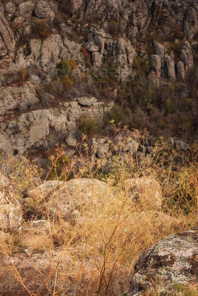 fantastic autumn in a mountain canyon, huge rocks. big gray granite boulders on the top of the mountain, cliffs for mountaineering. yellow and red trees grow among the rocks. Aktovsky Canyon, Ukraine photo