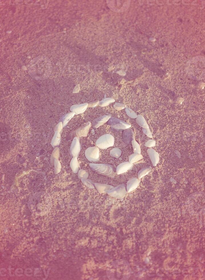 Shells laid out in a spiral lie on the sand. twisted spiral from seashells on the beach, gently pink tinting. round shape from small shells. the photo has a vertical orientation