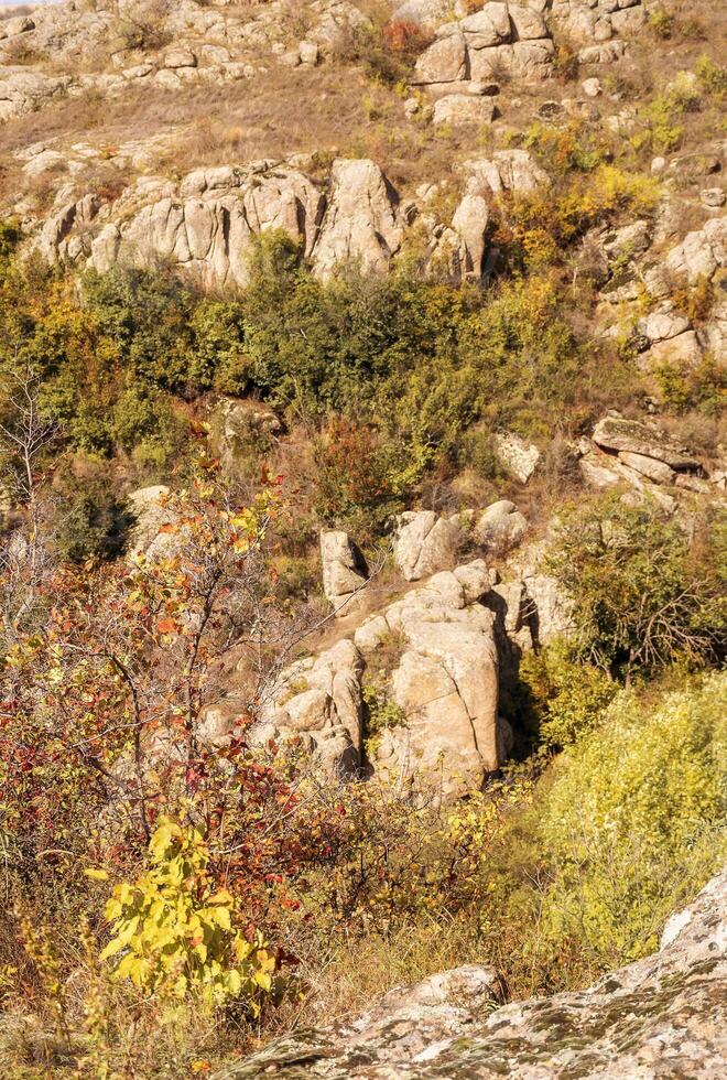 fantastic autumn in a mountain canyon, huge rocks. large gray granite boulders on top of a mountain, stone figures. yellow and red trees grow among the rocks. Aktovsky Canyon, Ukraine and mountains. photo