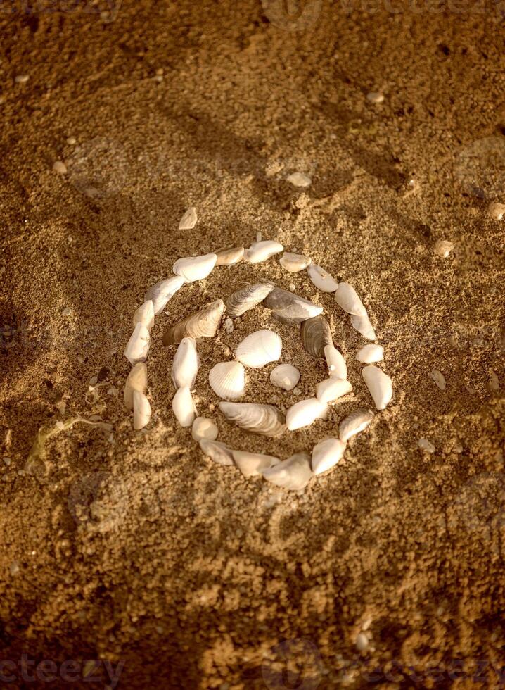 Shells laid out in a spiral lie on the sand. twisted spiral from seashells on the beach. round shape from small shells. the photo has a vertical orientation