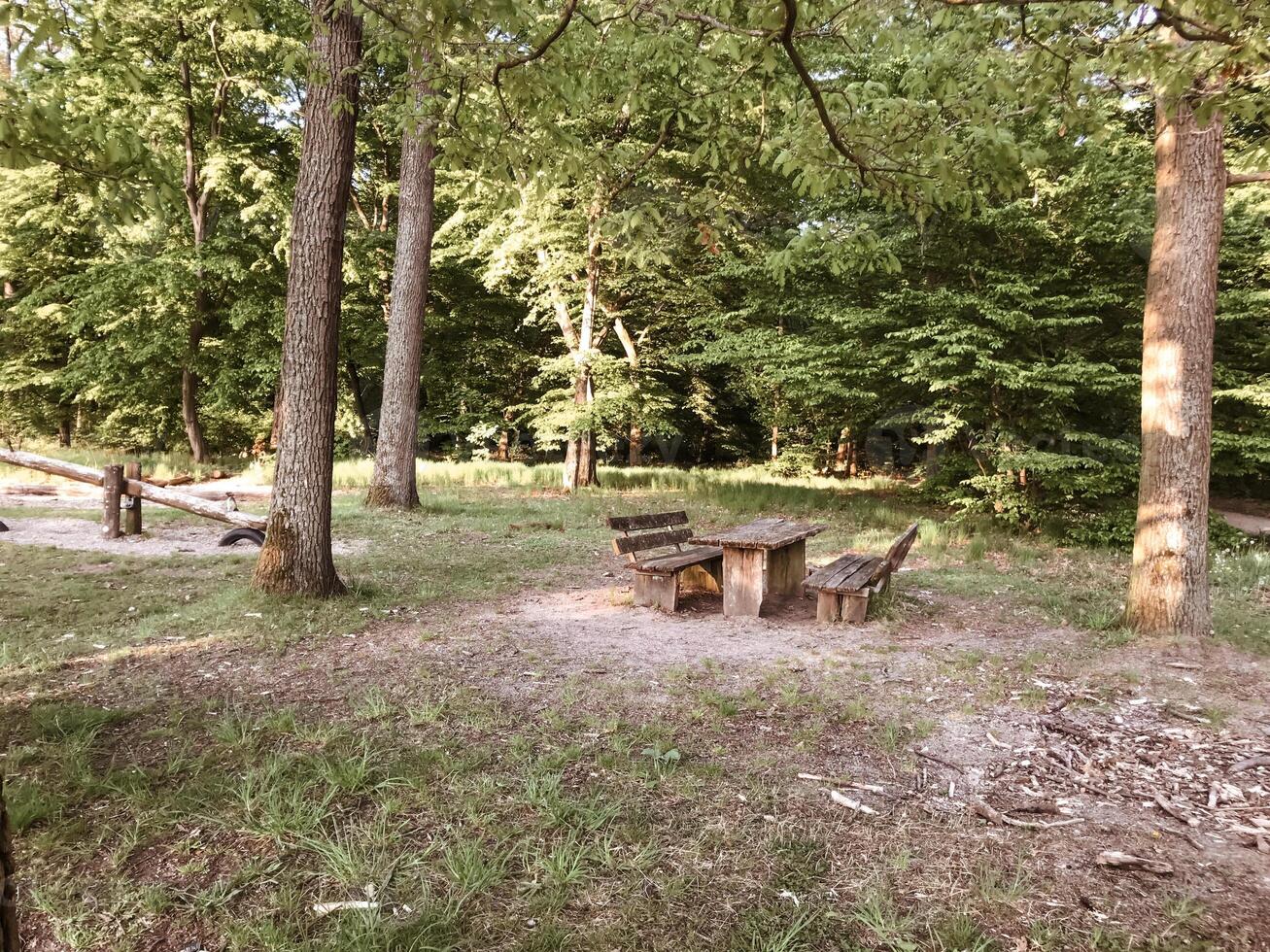 A picnic table is set up in a wooded area photo