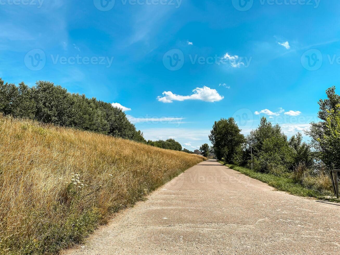 Road with a tree line on either side photo