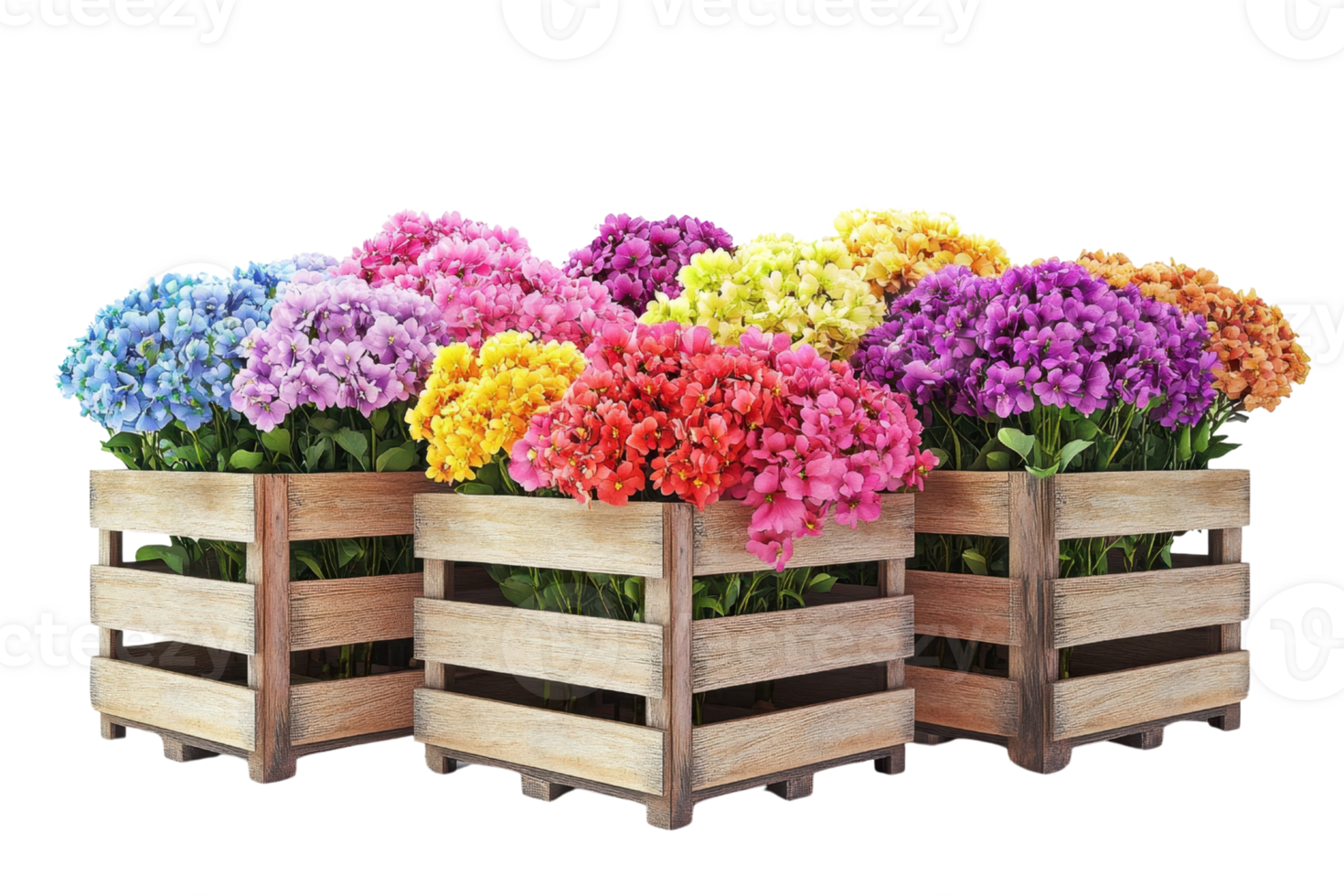 A vibrant display of colorful flowers arranged in wooden crates. png