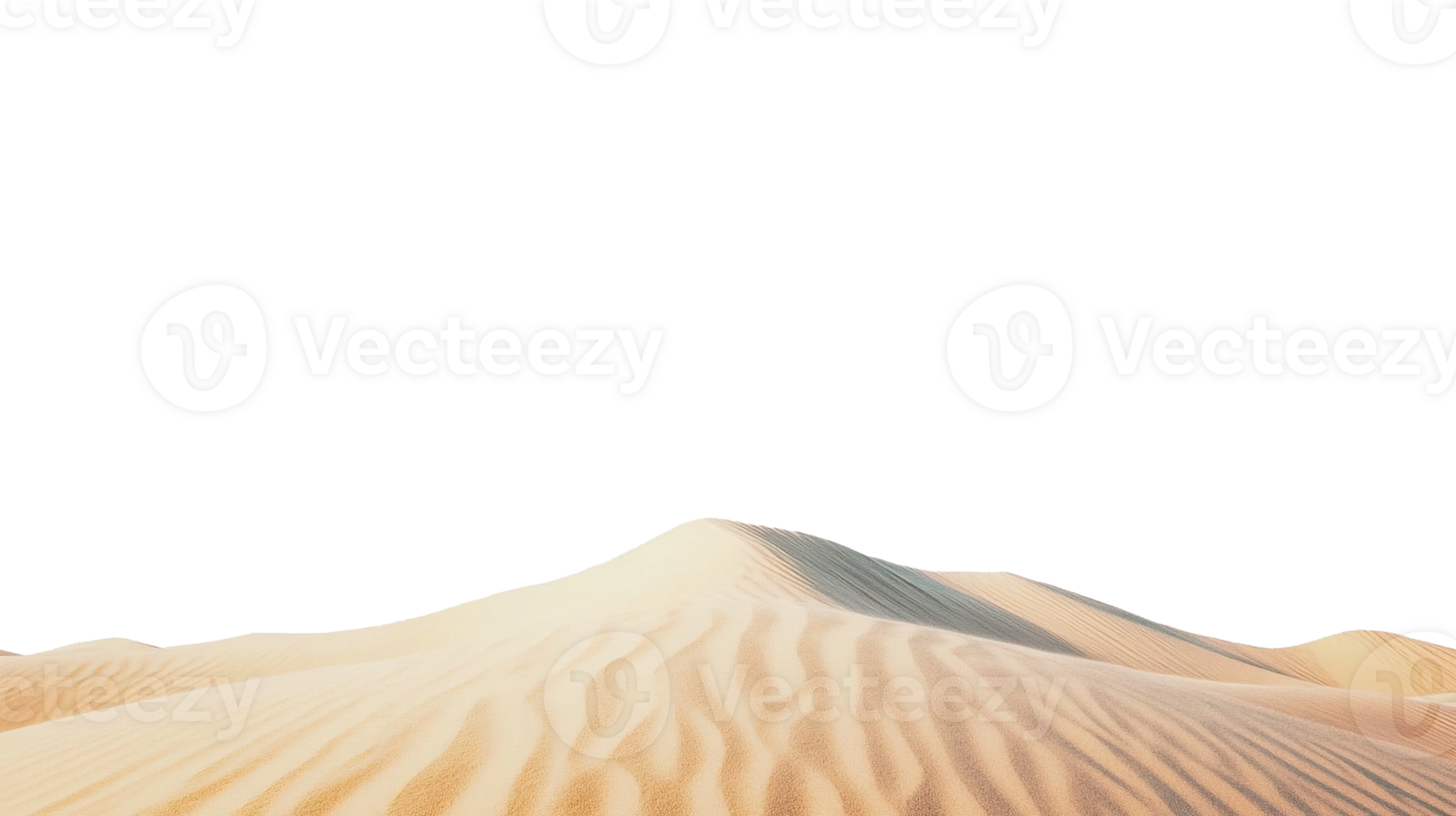 Wide angle shot of clean smooth desert dune isolated transparent background no sky png