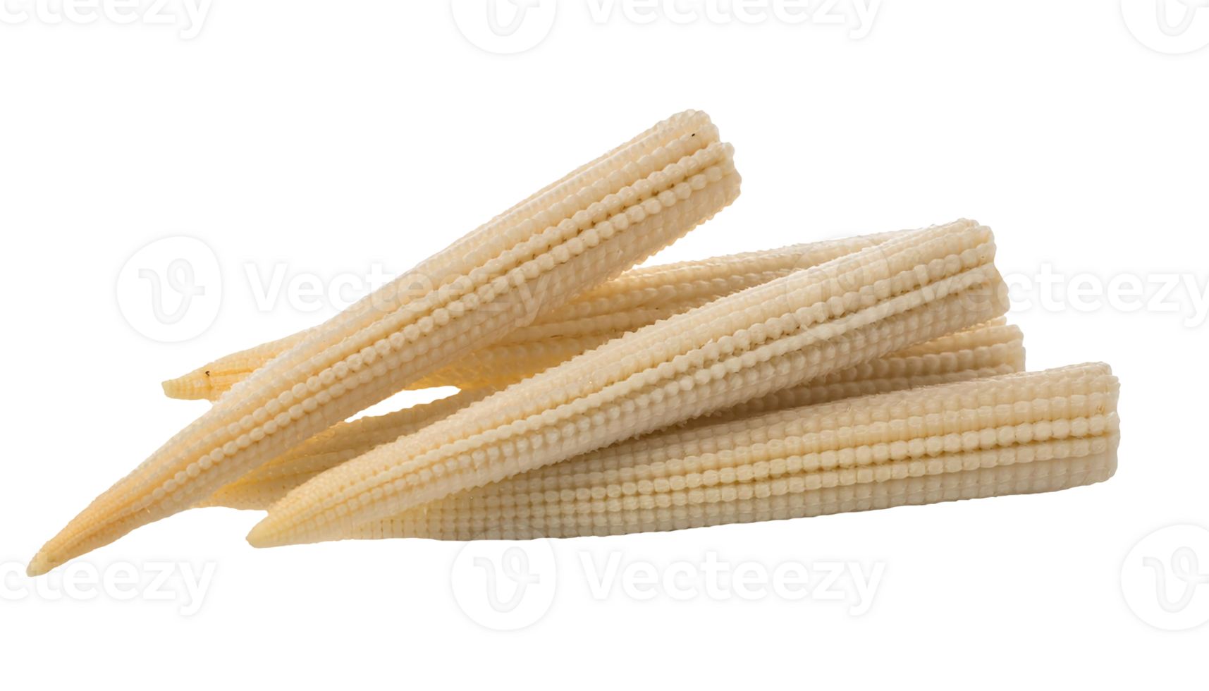fresh baby corn, tender young corn cobs, organic mini corn, healthy vegetable for cooking, crisp and nutritious, on isolated background png