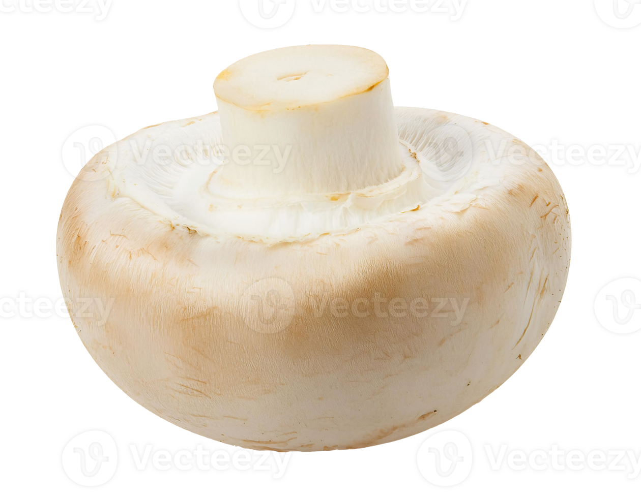 fresh white champignon mushroom, whole button mushroom, organic edible fungi, nutritious culinary ingredient, on isolated background png