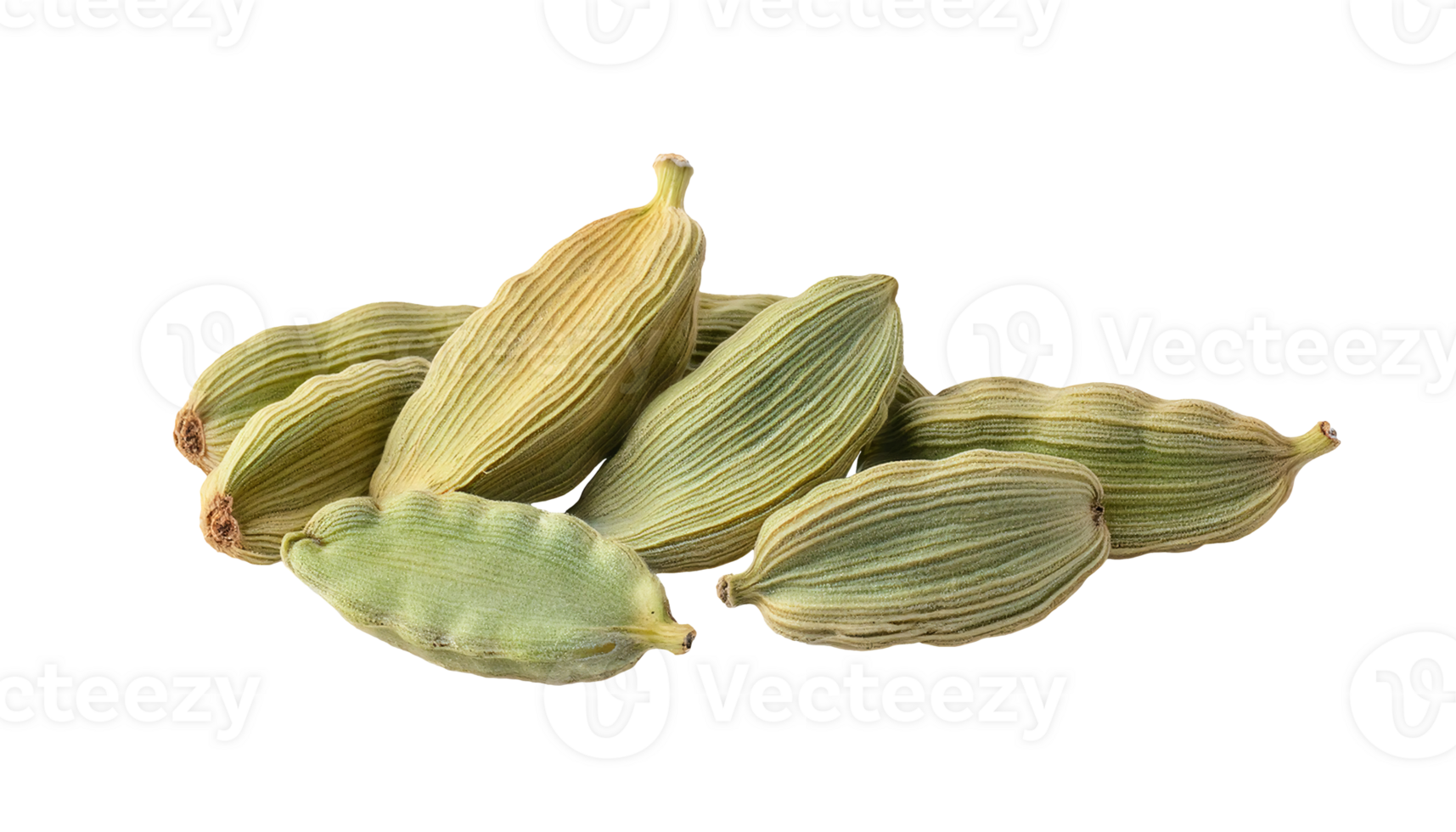 dried green cardamom pods on parchment paper, aromatic whole spice, organic seasoning, on isolated background png