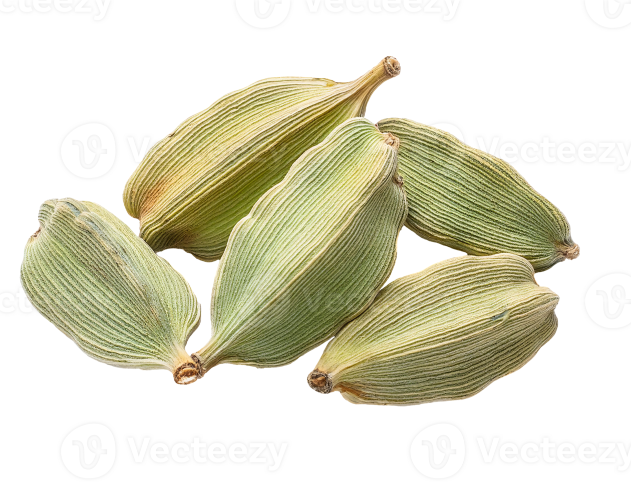 dried green cardamom pods on parchment paper, aromatic whole spice, organic seasoning, gourmet cooking ingredient, on isolated background png