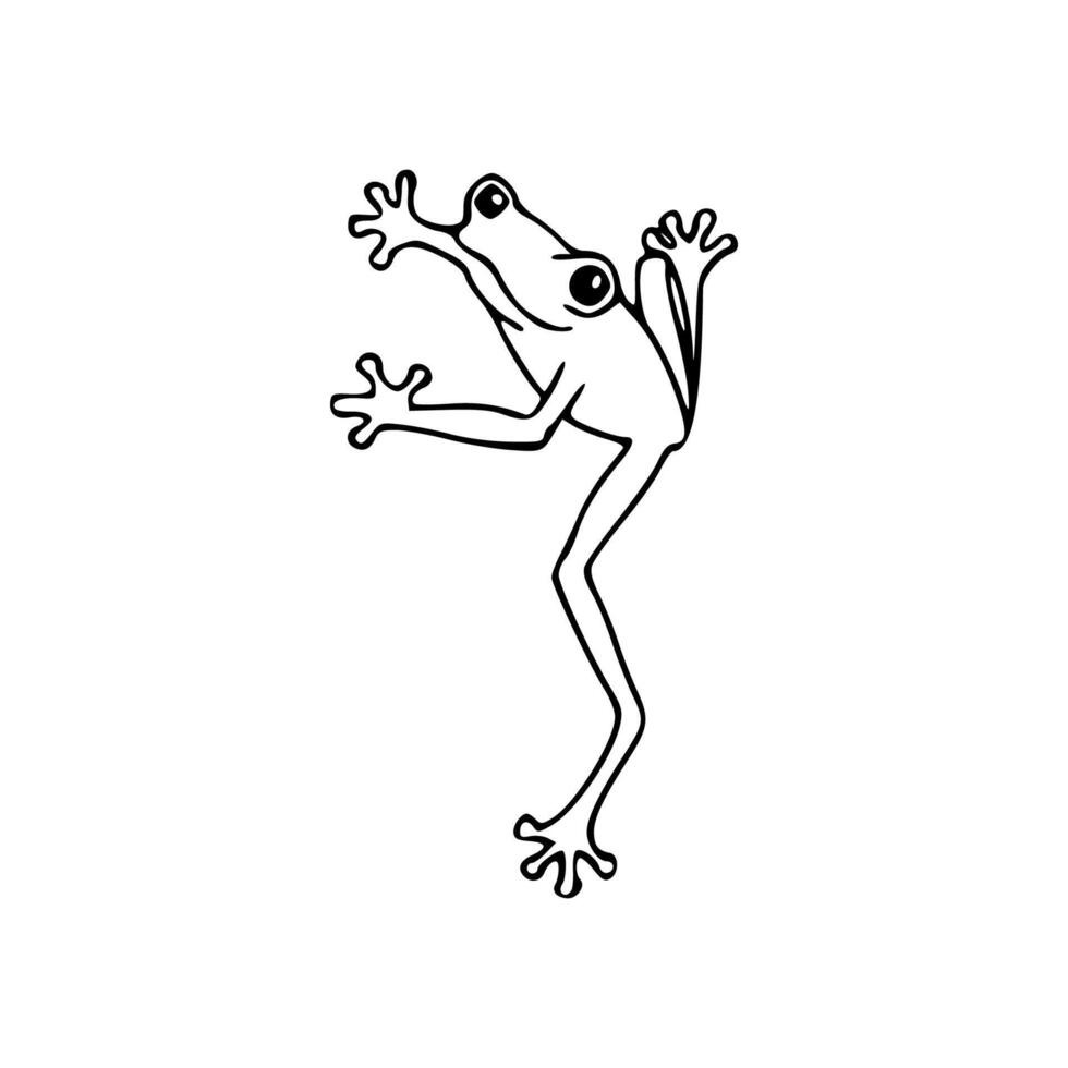 A frog is standing on its hind legs in a line vector