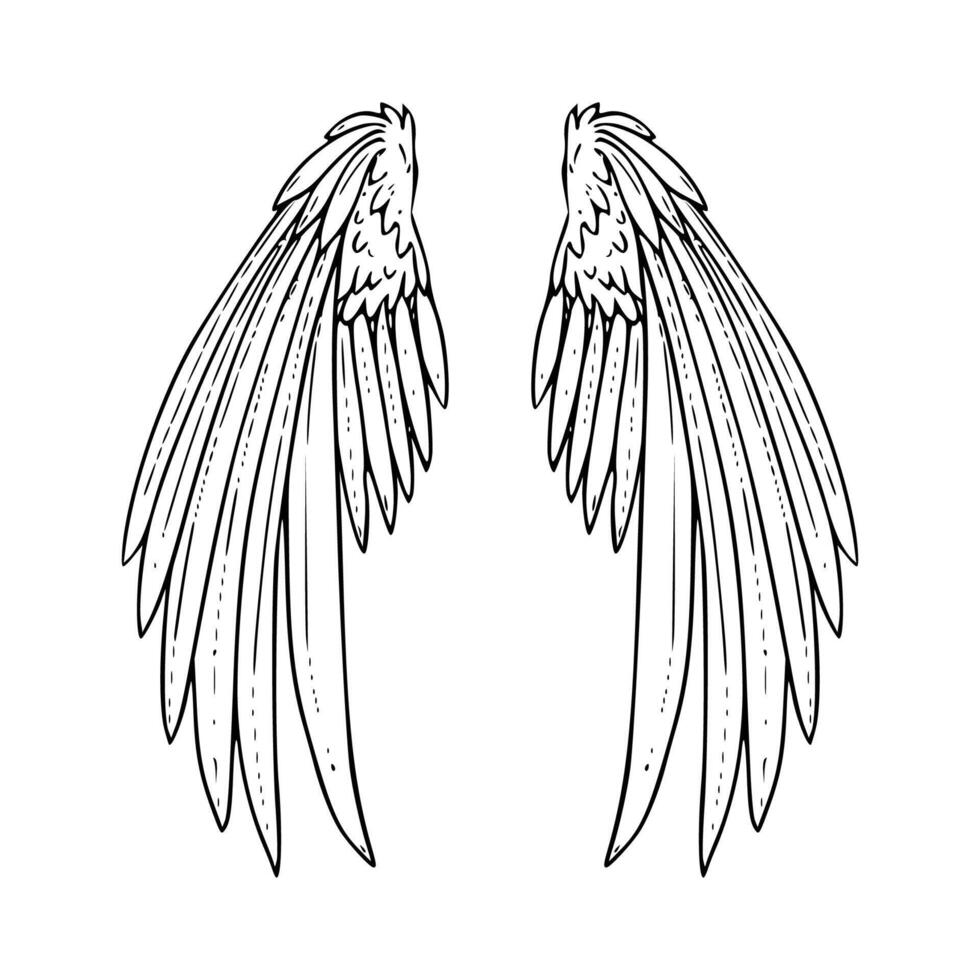 Two angel wings coloring pages - Two Angel Wings Coloring Pages Vector 