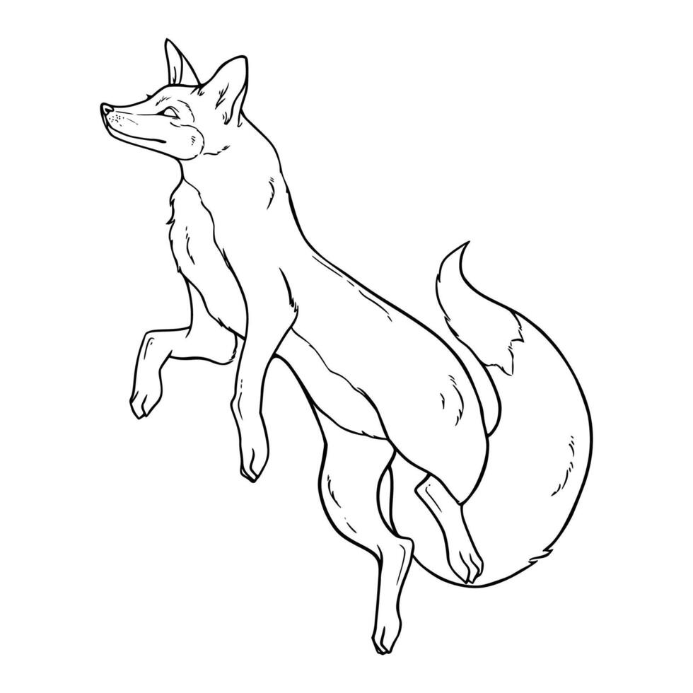 A fox jumping coloring page vector